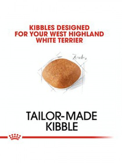 BHN WESTIE 1,5K_web3